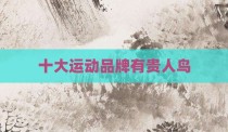 十大运动品牌有贵人鸟