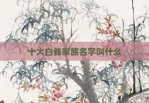 十大白彝家族名字叫什么