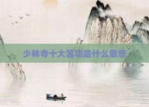 少林寺十大苦功是什么意思