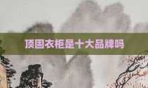 顶固衣柜是十大品牌吗