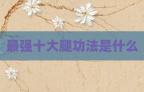 最强十大腿功法是什么