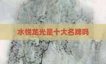 水悦龙光是十大名牌吗