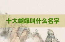 十大蝴蝶叫什么名字