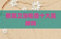 欧晨卫浴柜是十大品牌吗