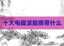 十大电磁波能携带什么