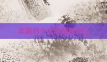 丰胸的十大思路是什么