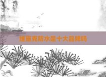 维施克防水是十大品牌吗