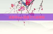 法恩莎ppr管是十大品牌吗
