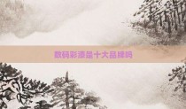 数码彩漆是十大品牌吗