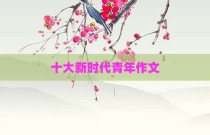 十大新时代青年作文