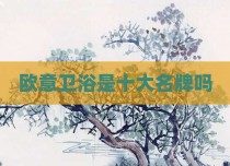 欧意卫浴是十大名牌吗