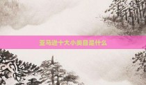 亚马逊十大小类目是什么