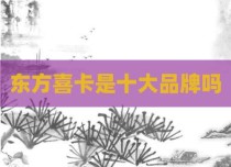东方喜卡是十大品牌吗