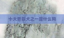 十大恶霸犬之一是什么狗