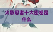 火影忍者十大密卷是什么