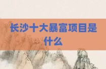 长沙十大暴富项目是什么