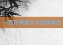 一百斤快递十大品牌排名