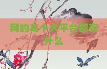 网约车十大平台都有什么