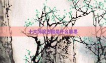 十大沉没古船是什么意思