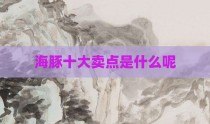 海豚十大卖点是什么呢
