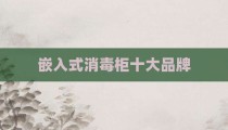 嵌入式消毒柜十大品牌