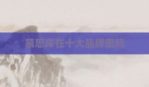 慕思床在十大品牌里吗