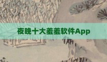 夜晚十大羞羞软件App
