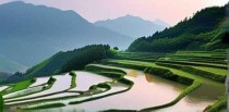 遂昌旅游十大景点免费吗