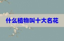 什么植物叫十大名花