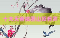 十大天帝被困山顶有声