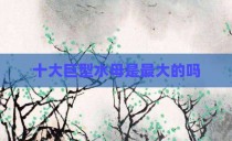 十大巨型水母是最大的吗