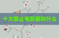 十大禁止电影都叫什么