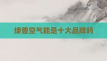 缔普空气能是十大品牌吗