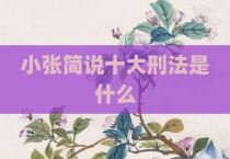 小张简说十大刑法是什么