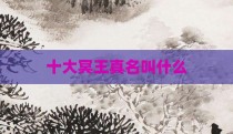 十大冥王真名叫什么