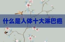 什么是人体十大淋巴癌