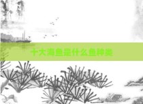 十大海鱼是什么鱼种类