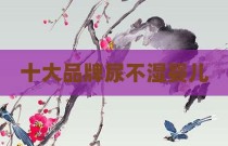 十大品牌尿不湿婴儿