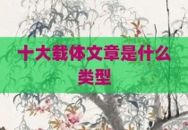 十大载体文章是什么类型