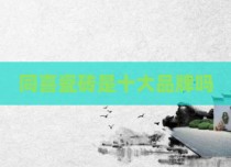 同喜瓷砖是十大品牌吗