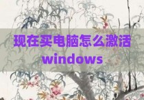 现在买电脑怎么激活windows