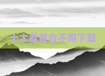 十大看黄台不用下载