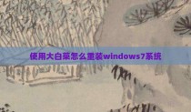 使用大白菜怎么重装windows7系统