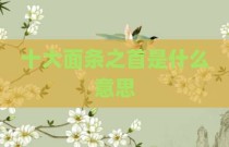 十大面条之首是什么意思
