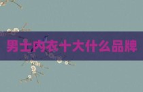 男士内衣十大什么品牌