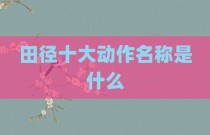 田径十大动作名称是什么