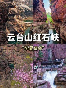 五一游客量全国第一，收入却不高，河南用厚道赢了全国游客的心