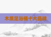 木质足浴桶十大品牌