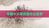 中国十大草药是什么名字