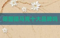 德国德马克十大品牌吗